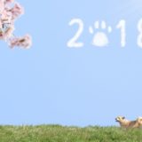 私が注目する2018春ドラマ~視聴リスト~