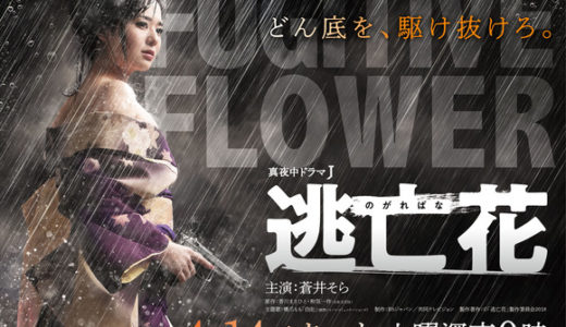 【ネタバレ感想】蒼井そら主演「逃亡花」