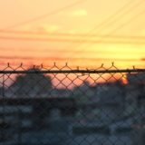 「青と僕」