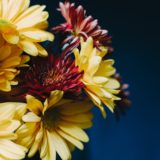 「高嶺の花」