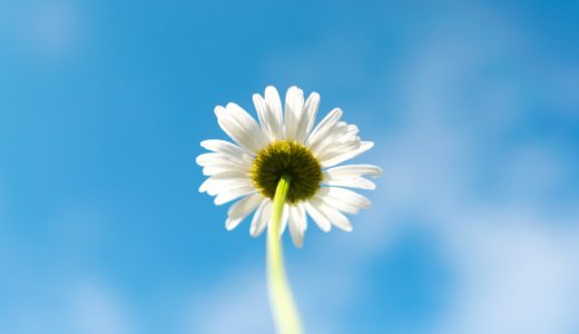 NHKドラマ「透明なゆりかご」あらすじ感想