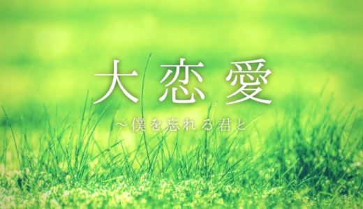 ドラマ「大恋愛~僕を忘れる君と」あらすじ感想