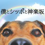 ドラマ「僕とシッポと神楽坂」あらすじ感想