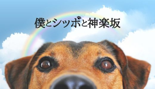 ドラマ「僕とシッポと神楽坂」あらすじ感想